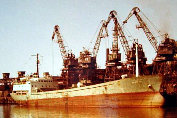 Gaviota - Colección de L. del Fresno Gaviota - Colección de L. del Fresno